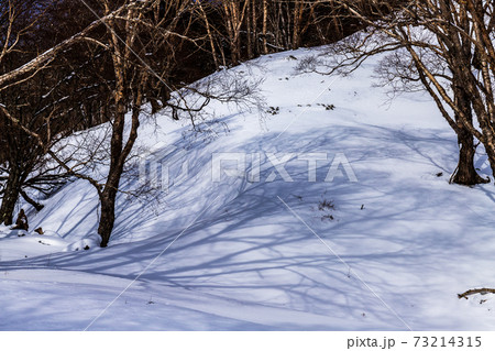 奥日光戦場ヶ原スノーハイク 73214315
