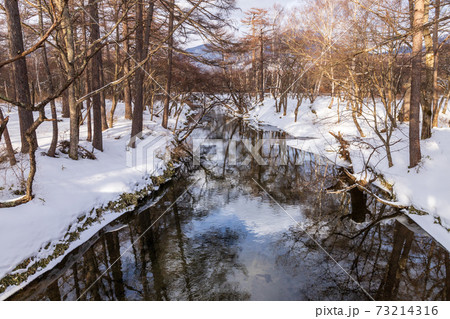 奥日光戦場ヶ原スノーハイク 73214316