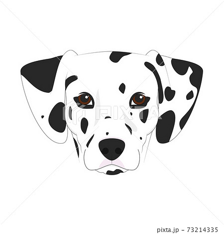 Dalmatian Dog Isolated On White Background のイラスト素材