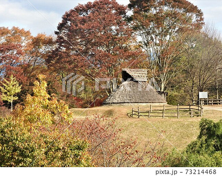岡山県津山市にある弥生時代の遺跡:沼弥生住居址(秋の風景) 岡山県津山市にある弥生時代の遺跡:沼弥生住居址(秋の風景) 73214468