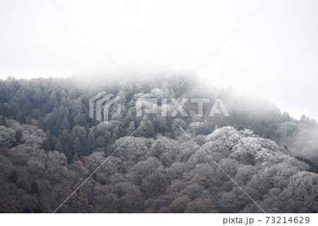 雪山 雪山 73214629