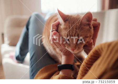 Young woman resting with pet in sofa at home. Young woman resting with pet in sofa at home. 73215059