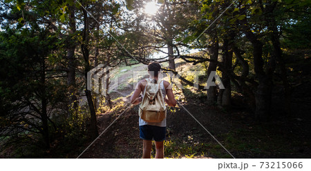 Man Traveler with backpack hiking outdoor in summer sunset forest Man Traveler with backpack hiking outdoor in summer sunset forest 73215066