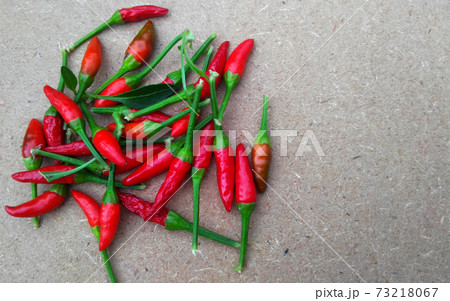 SEREMBAN, MALAYSIA -OCTOBER 01, 2016: Capsicum plant also known as peppers. Often used as an ingredient in the cuisine of Southeast Asia. SEREMBAN, MALAYSIA -OCTOBER 01, 2016: Capsicum plant also known as peppers. Often used as an ingredient in the cuisine of Southeast Asia. 73218067