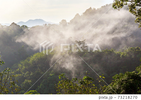 Khao Khai Nui, Sea of fog in the winter mornings at sunrise, Thailand. Khao Khai Nui, Sea of fog in the winter mornings at sunrise, Thailand. 73218270