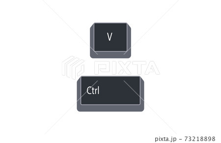 Control (Ctrl) and V computer key button vector isolated on white background. Ctrl+V for paste contents of clipboard at cursor. eps.10. 73218898