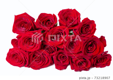 Bouquet of red (burgundy) roses on a white background. Water drops. Close-up. Bouquet of red (burgundy) roses on a white background. Water drops. Close-up. 73218907