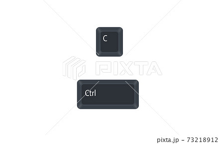 Control (Ctrl) and C computer key button vector isolated on white background. Ctrl+C for copies the item or text. 73218912
