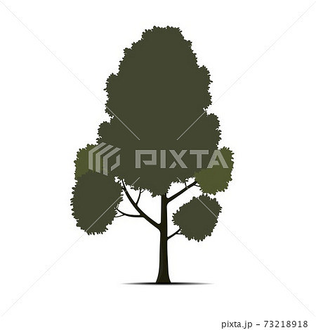 Green tree vector isolated on white background. Green tree vector isolated on white background. 73218918