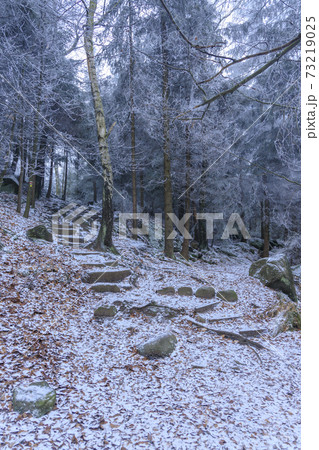 landscape in a nature reserve Broumovske steny, eastern Bohemia, Czech Republic 73219025
