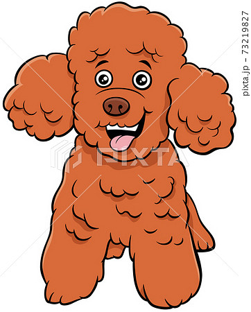 Poodle Toy Dog Cartoon Animal Characterのイラスト素材