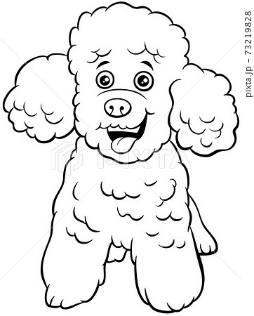 Poodle Toy Dog Cartoon Animal Character のイラスト素材