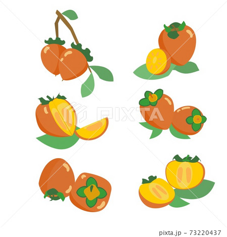 Collection of persimmon icons in orange and yellow colors Set of flat vector ilustrations 73220437