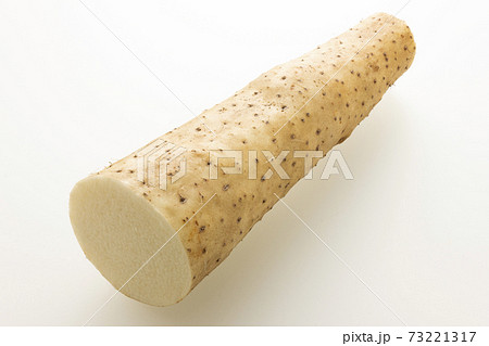 北海道産 長いも 73221317