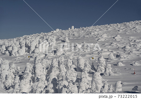 山形県蔵王のモンスターの雪景色 73222015