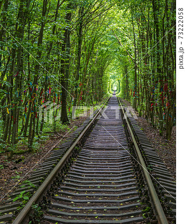 Tunnel of Love ( railway  in forest near Klevan, Ukraine) 73222058