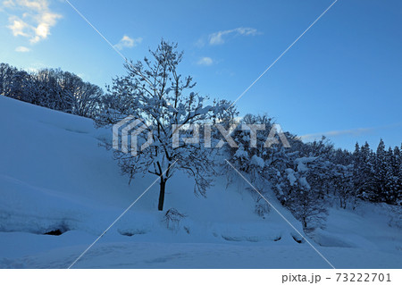 豪雪地の雪景色・夕方の青空 福島県只見町 豪雪地の雪景色・夕方の青空 福島県只見町 73222701