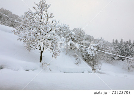 豪雪地の雪景色・降雪の中休み 福島県只見町 豪雪地の雪景色・降雪の中休み 福島県只見町 73222703