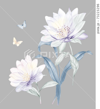 透明水彩 水彩画 花のイラスト素材