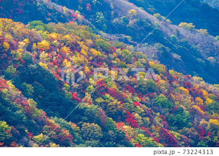 日光　半月峠第2駐車場からの眺望　　紅葉景色　秋景色　　 73224313