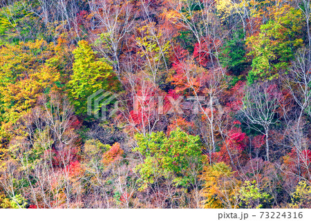 日光 半月峠第2駐車場からの眺望  紅葉景色 秋景色   日光 半月峠第2駐車場からの眺望  紅葉景色 秋景色   73224316