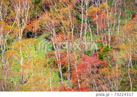 日光 半月峠第2駐車場からの眺望  紅葉景色 秋景色   日光 半月峠第2駐車場からの眺望  紅葉景色 秋景色   73224317