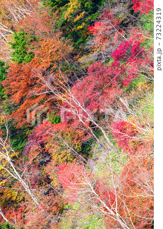 日光 半月峠第2駐車場からの眺望  紅葉景色 秋景色   日光 半月峠第2駐車場からの眺望  紅葉景色 秋景色   73224319