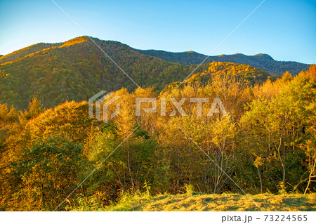 丸沼高原 晩秋の紅葉 高原の秋風景 の写真素材