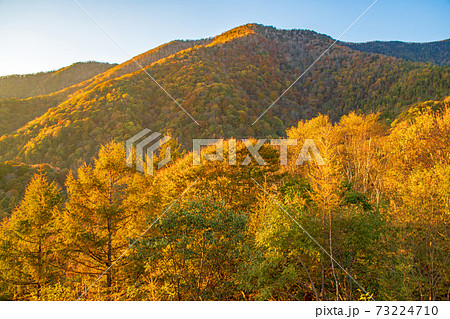 夕日を浴びる山景色 丸沼高原からの景観 晩秋の紅葉 高原の秋風景 の写真素材