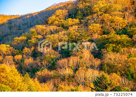 夕日を浴びる山景色 丸沼高原からの景観 晩秋の紅葉 高原の秋風景 の写真素材