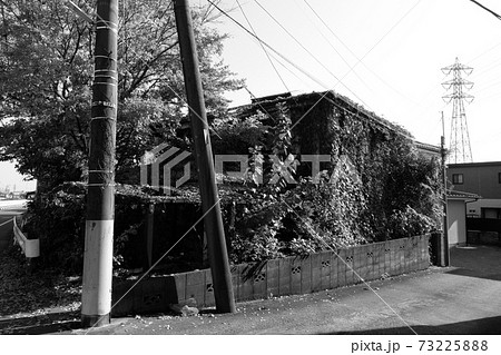 樹木に飲み込まれる廃屋 73225888