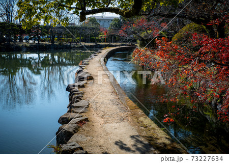 佐賀県佐賀市の神野公園	 73227634