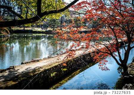 佐賀県佐賀市の神野公園	 73227635