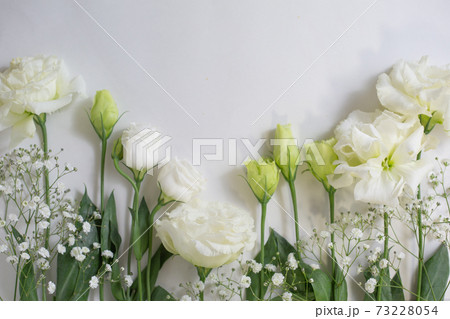 トルコギキョウとカスミソウのフレーム。 73228054