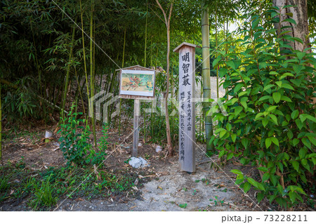 明智藪 明智藪 73228211