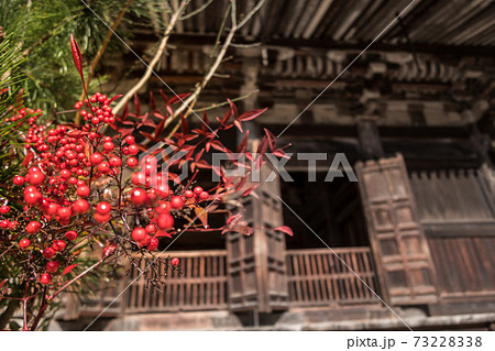 書写山、円教寺大講堂（兵庫県姫路市書写）※作品コメント欄に撮影位置 73228338