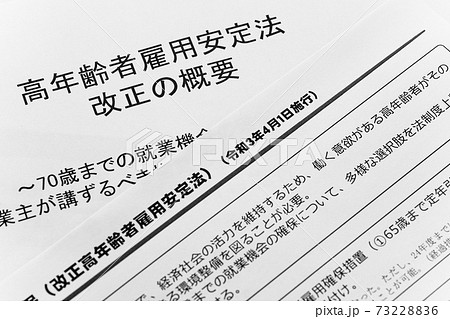 高年齢者雇用安定法の改正 73228836