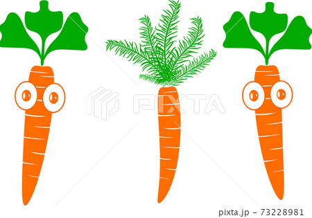 Beautiful carrot in illustrator 73228981