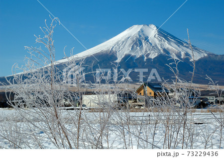 厳冬の富士山と花の都公園 73229436