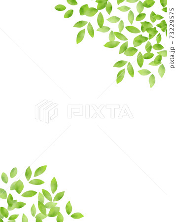 水彩風な新緑のイラスト背景素材 縦のイラスト素材