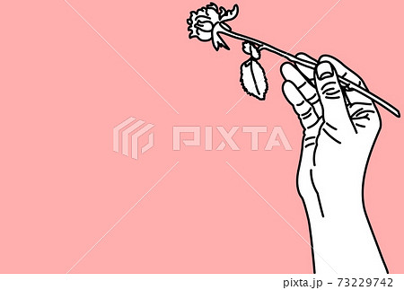 一輪の薔薇を持った手のイラスト ピンク色の背景 のイラスト素材
