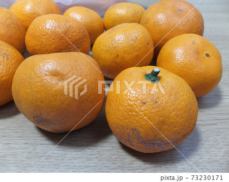 萎びたみかん　傷み始めたみかん 73230171