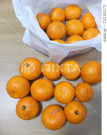 萎びたみかん　傷み始めたみかん 73230172