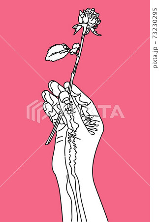 一輪の薔薇を持った手のイラスト ピンク色の背景 のイラスト素材