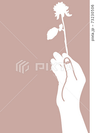 一輪の薔薇を持った手のイラスト 灰色の背景 のイラスト素材