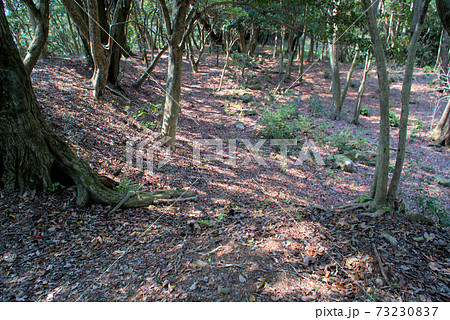猿掛城の土塁と本丸 岡山県小田郡矢掛町 猿掛城の土塁と本丸 岡山県小田郡矢掛町 73230837