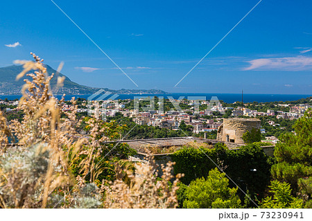 イタリア　プローチダの丘からの風景 73230941
