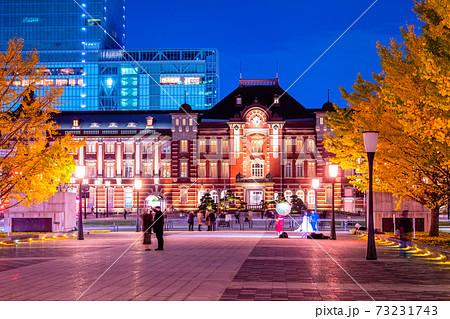 東京駅と銀杏並木の夜景 73231743