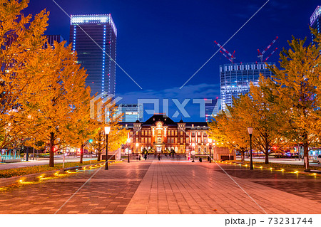 東京駅と銀杏並木の夜景 東京駅と銀杏並木の夜景 73231744
