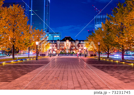 東京駅と銀杏並木の夜景 東京駅と銀杏並木の夜景 73231745